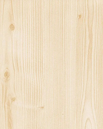 Сосна
